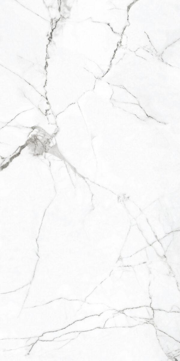 White Himalaya