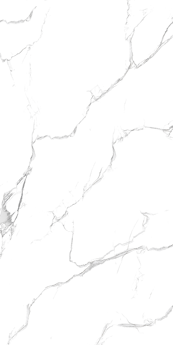 Carrara Grey